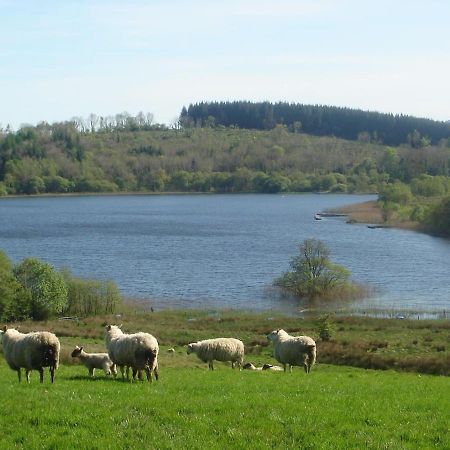 Apartament Moybrone Flat Enniskillen Zewnętrze zdjęcie